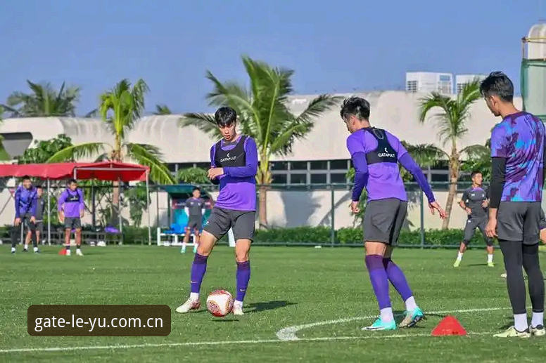揭秘乐鱼体育苹果版背后的真相：新手用户必须知道的五个关键点